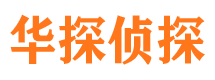 稻城调查公司